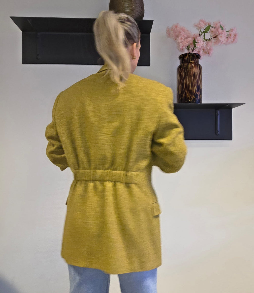Blazer Alexa